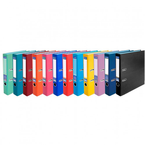 Папка-реєстратор А4/50 мм Economix E39720 MIX